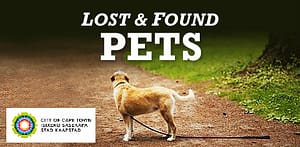 Lost Pets
