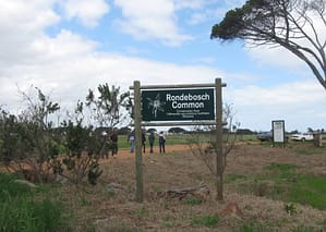 Rondebosch Common CREW (99)